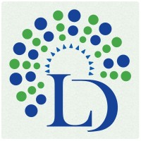 leoraa digital logo - Similar company to Itmatic
