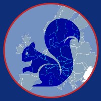 Dancing Squirrel Europe logo - Similar company to Ts Electrical (Buckingham)