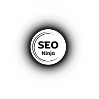 Virtual SEO Ninja logo - Similar company to Onetap Studio: Website & App Development, Video, Motion, Ar, Seo, 3D, & Marketing