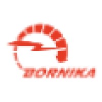 Borna Niroo Karan ( Bornika ) logo - Similar company to Matin International Group