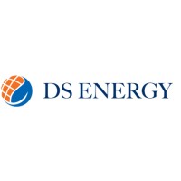 DS ENERGY logo - Similar company to Nex Data Management Systems
