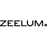 Zeelum Studio logo - Similar company to Epic Minds Therapy