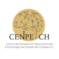 Centro de Estudios en Neurociencias y Psicología del Estado de Chiapas logo - Similar company to Instituto Cum Laude