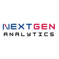 Nextgen Analytics logo - Similar company to Vertex Digital Solutions