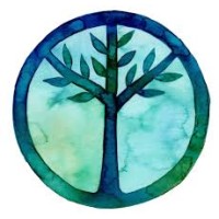 Stop Ecocide Belgium logo - Similar company to Stop Ecocide En Français