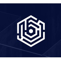 Blueway Consulting logo - Similar company to Vinali Advisory