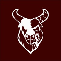 CyborgBulls logo - Similar company to Space2