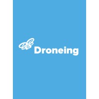 Droneing logo - Similar company to Droning