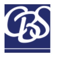 Capital Business Strategies logo - Similar company to Buzz Around