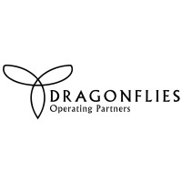 Dragonflies Operating Partners logo - Similar company to Ndw