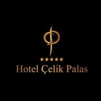 Hotel Çelik Palas Convention Center Thermal SPA logo - Similar company to Altug Design