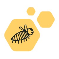 Joe's Blooms logo - Similar company to Lowe Holdings Limited