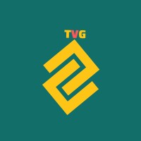 The Virtual Guys logo - Similar company to Indigenous Cannabis Council