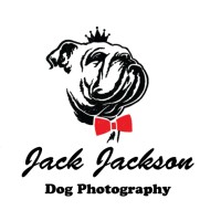Jack Jackson Dog Photography