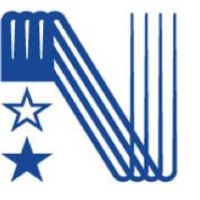 SAYN (Swiss Association of Young Neurologists) logo - Similar company to Direct Solutions