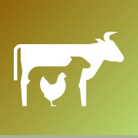 Poultry & Livestock Middle East & Africa Magazine logo - Similar company to Amcovet - U.A.E