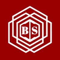 Brufellas Tech Solutions logo - Similar company to Data In Action Africa