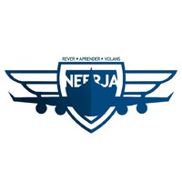 Neerja School of Aviation logo - Similar company to Dunixab