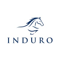 Induro Partners logo - Similar company to Induro