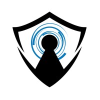 DepthSense logo - Similar company to Guru Computer Systems