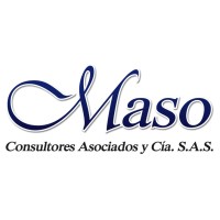 Maso Consultores Asociados y CIA  S.A.S logo - Similar company to Synthesis Consulting Sas