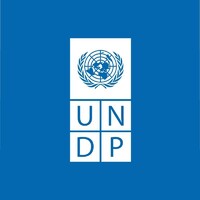UNDP Egypt logo - Similar company to Giz Egypt
