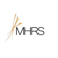 Master Human Resource Services logo - Similar company to Blink Mode Media