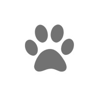Felinapharm GmbH logo - Similar company to M2A Investment Network