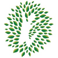 Texas Trees Foundation logo - Similar company to Best Buddies In Texas