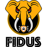 FIDUS Cyber Security Solutions, Inc. logo - Similar company to Js4Ti - Cybersecurity Solutions And Data Protection
