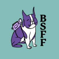Boston Student Film Festival logo - Similar company to Fat Robin