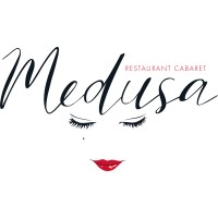 Medusa Cannes logo - Similar company to Barokas David