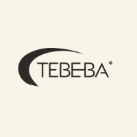 Tebeba logo - Similar company to Digioracle (Formerly Klayoracle)