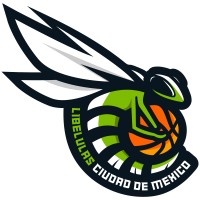 Libelulas CDMX logo - Similar company to Gabriel Jobs