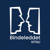 Bindeleddet NTNU logo - Similar company to Ntnu Fakultet For Økonomi
