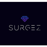 SURGEZ | mkt médico & branding | logo - Similar company to B Health Innovation Equipment S De Rl De Cv