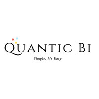 Quantic Bi logo - Similar company to Core Analytics
