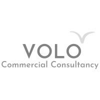 Volo Consultancy logo - Similar company to Elevate Mind Properties