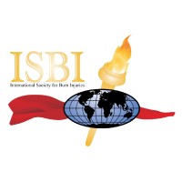 International Society for Burn Injuries - ISBI logo - Similar company to Gdpr Prodigy