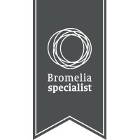 Bromelia Specialist logo - Similar company to Car Dynamics B.V.