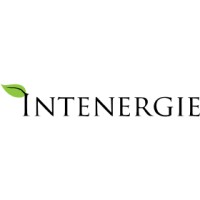 Intenergie LLC logo - Similar company to Kerico Health Care