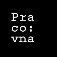PRACOVNA logo - Similar company to Your Solution, S.R.O.