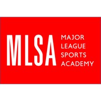 Major League Sports Academy logo - Similar company to Berkeley Scott Executive