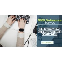BWS_IT Outsourcing logo - Similar company to Dunhill Systems