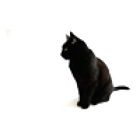 BlackCatSEO Inc. logo - Similar company to Path.Pub