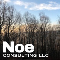 Noe Consulting LLC Virginia