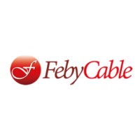 FEBY CABLE logo - Similar company to Pickenpack Gmbh