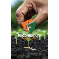 Foodnest Limited logo - Similar company to Foodnest(S)