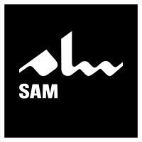 Sam Electronic | سام الکترونیک logo - Similar company to Blanton