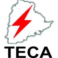 TECA (Telangana Electrical Contractors Association) logo - Similar company to Minj Electrical Contractors Pvt Ltd